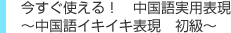 今すぐ使える！　中国語実用表現～中国語イキイキ表現　初級～