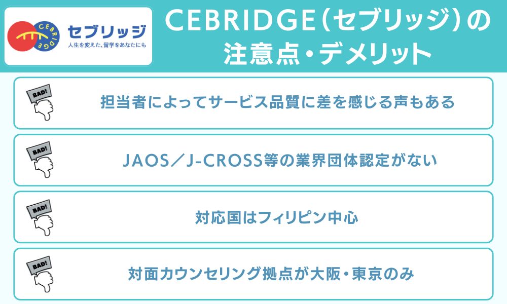 CEBRIDGE(セブリッジ)の注意点・デメリット