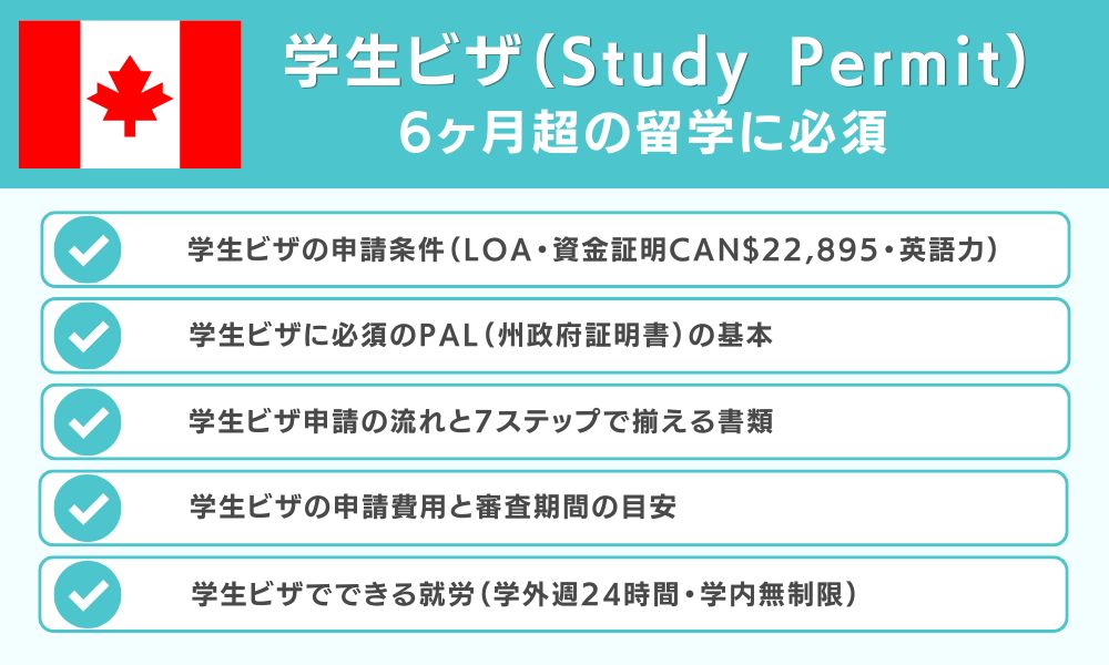 学生ビザ（Study Permit） 6ヶ月超の留学に必須