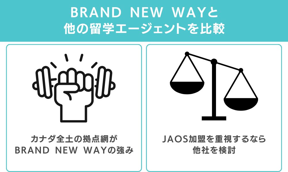 他社と比較してわかるBRAND NEW WAYの立ち位置